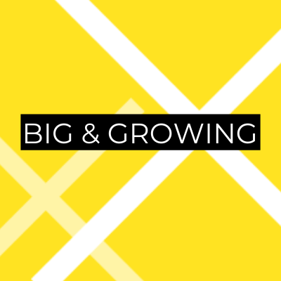 Big&Growing Logo